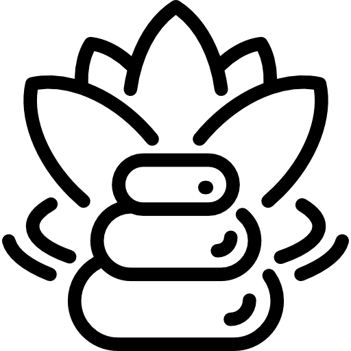 Yoga & Meditation icon